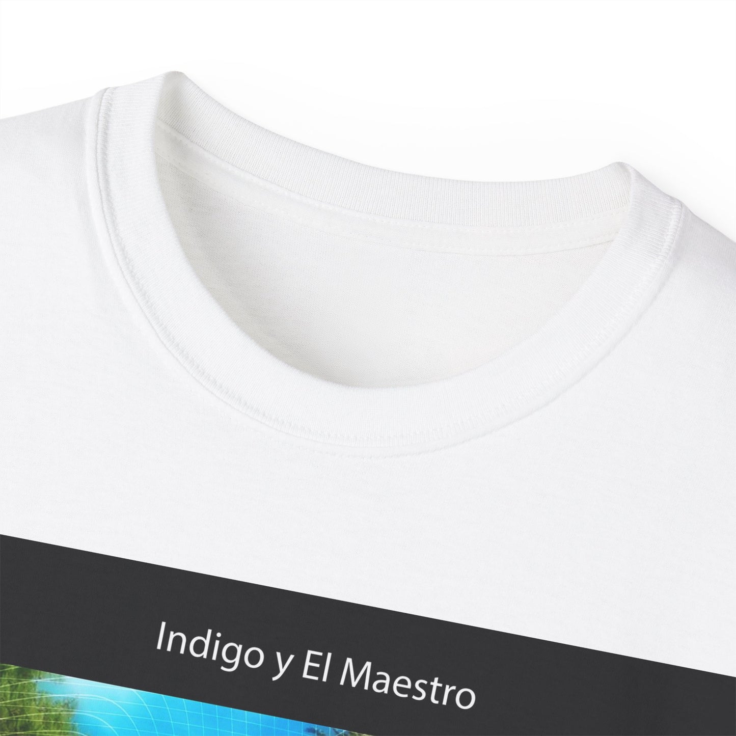 ESTAR EN EL MOMENTO PRESENTE / Indigo y El Maestro series / español / Life Upholder 2023