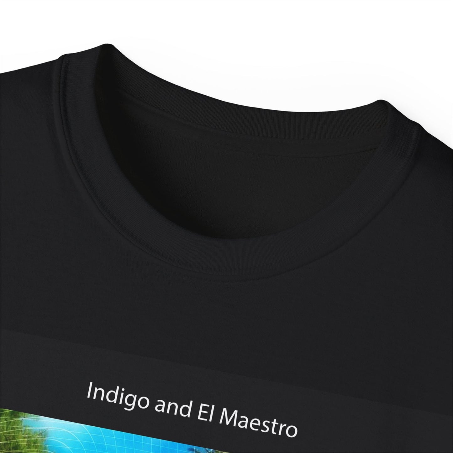 BEING IN THE PRESENT MOMENT / Indigo and El Maestro series / english / Life Upholder 2023